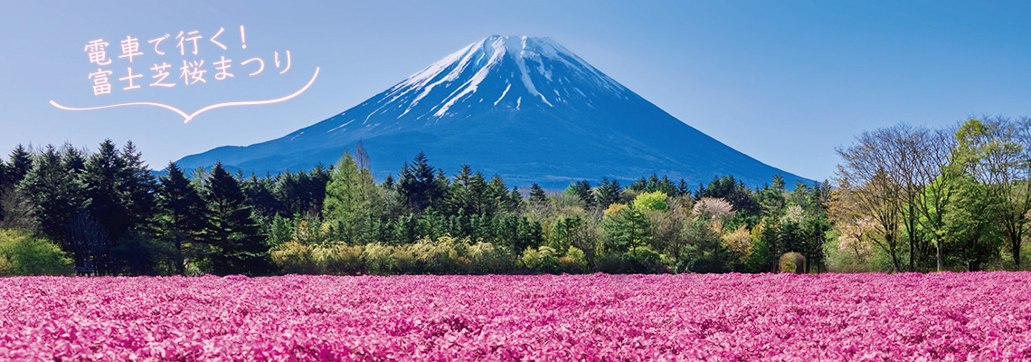 電車で行く 富士芝桜まつり
