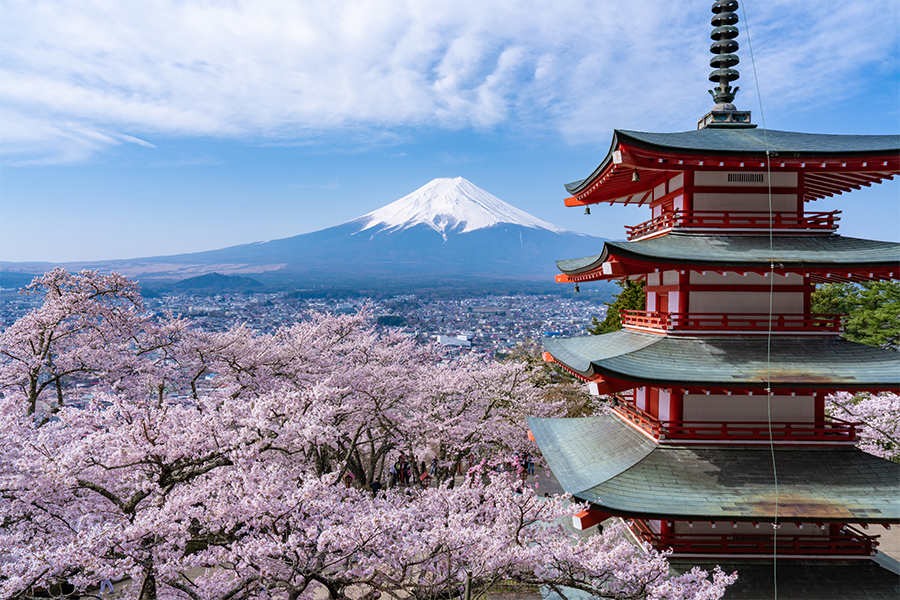 桜、富士山、五重塔で有名な“新倉山浅間公園”へは電車でお越しください