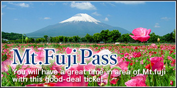 Mt.Fuji 5th Pass