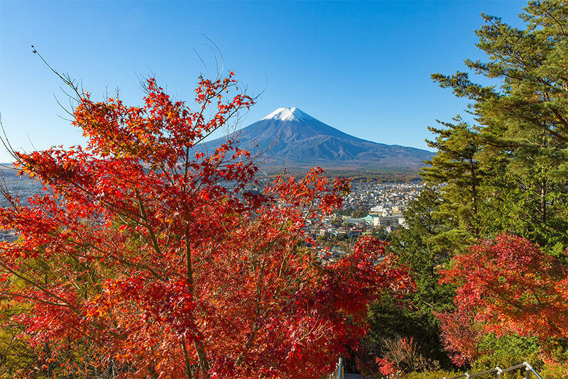 秋の景色