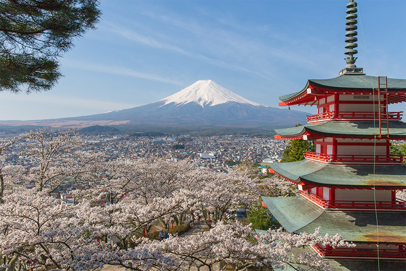 春の景色