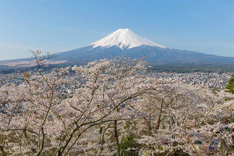 春の景色