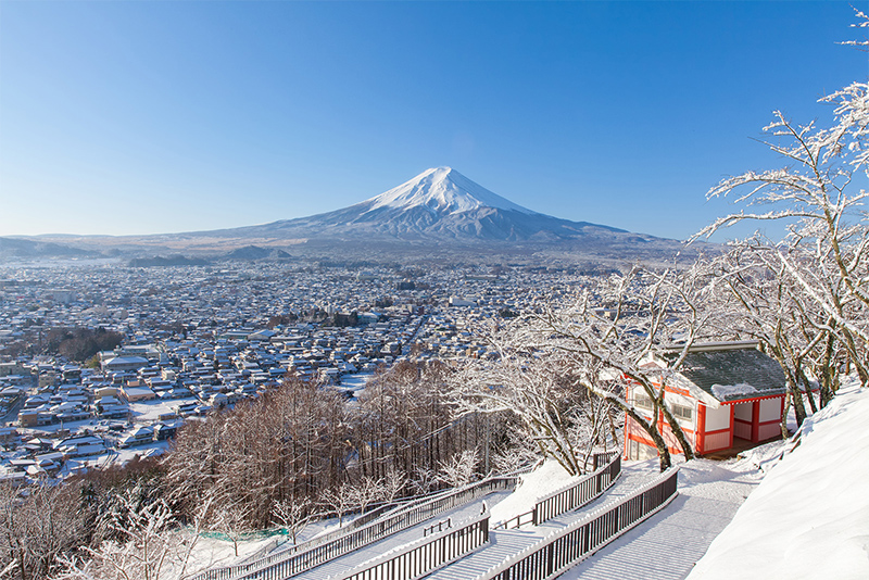 冬の景色