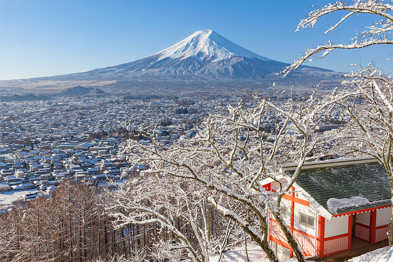 冬の景色