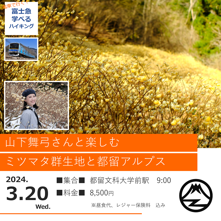 「富士急学べるハイキング」第８弾『山下舞弓さんと楽しむミツマタ群生地と都留アルプス』を開催