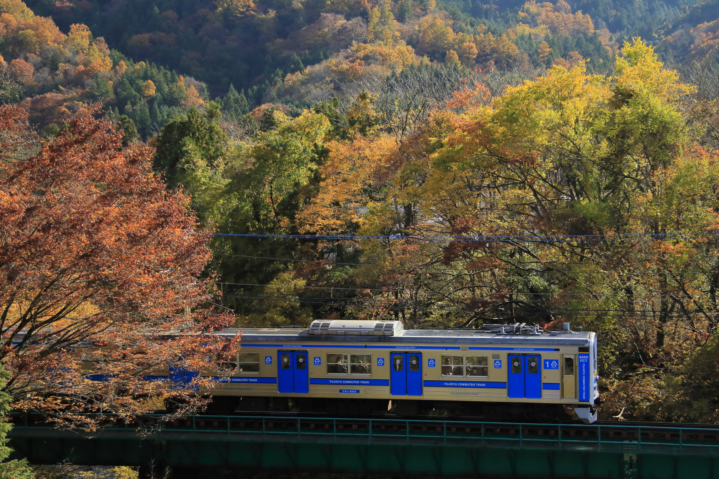 深紅に染まる紅葉と冬の装いをはじめる富士山をゆっくりと鑑賞！　～富士急行線沿線の紅葉情報～